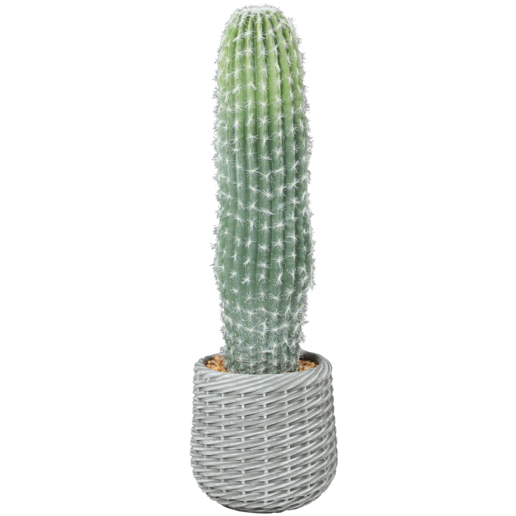 Pianta Artificiale Cactus ¨C Minimal ¨C Verde 66 cm