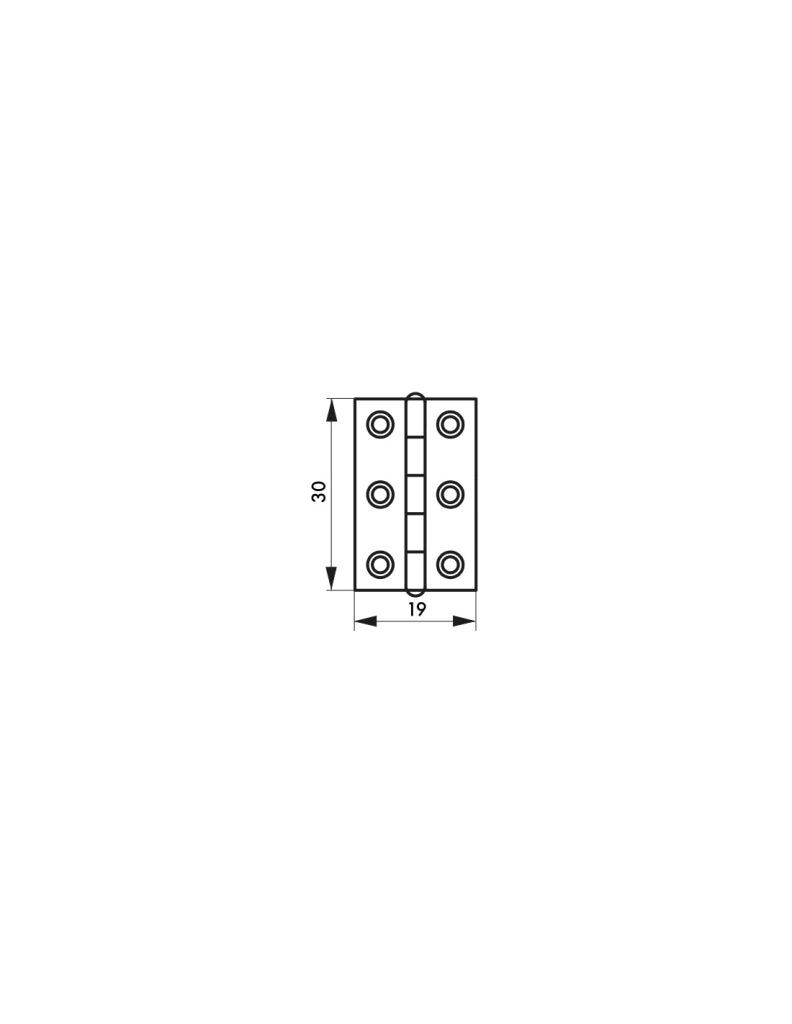 Cerniera per porta 30 x 19 mm, acciaio – THIRARD