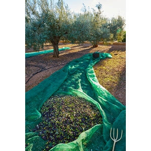 C RETE P/OLIVE ANTISPINA 80G  8X10M- 1,0 pz