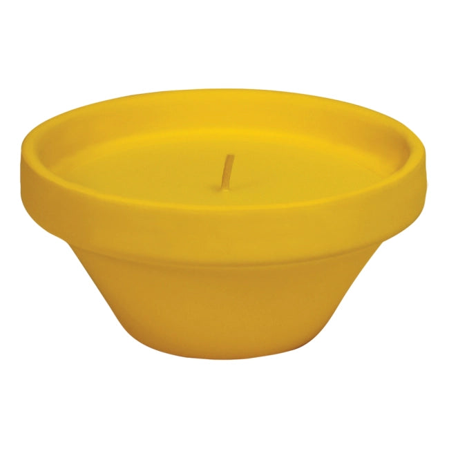 Caribe vaso in terracotta con citronella