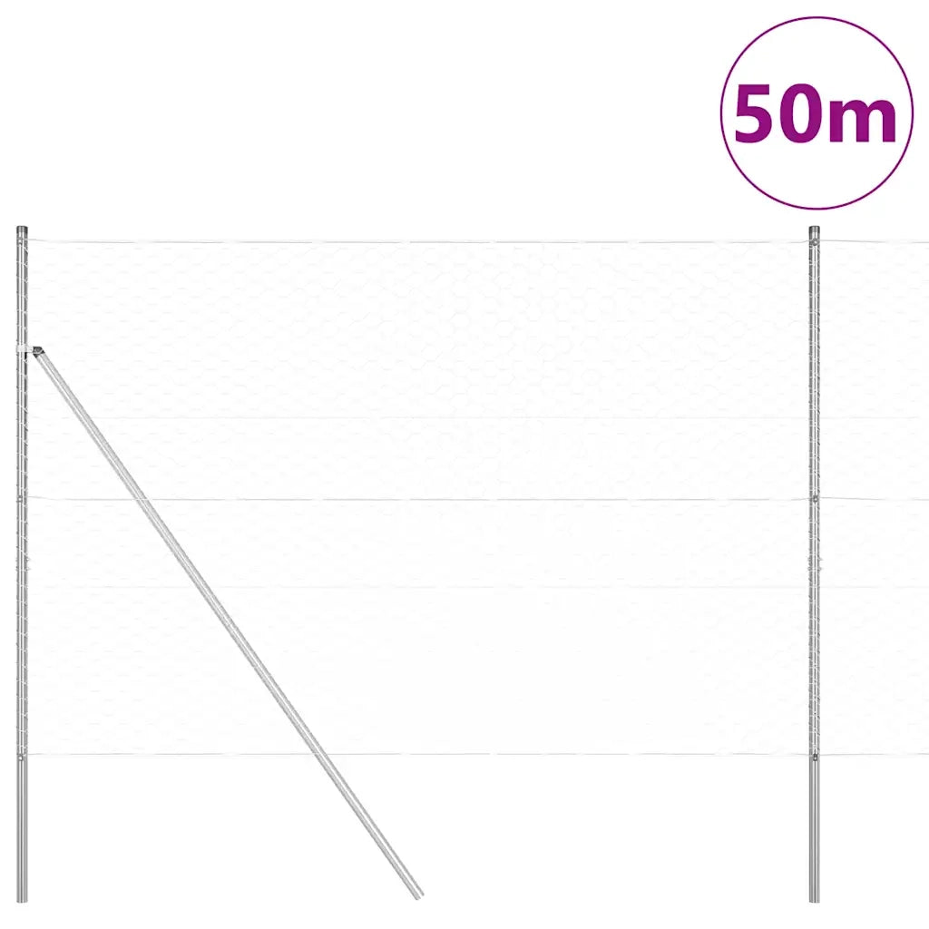 Palo della recinzione Argento 50 x 1,5 m (maglia 50 mm) Acciaio