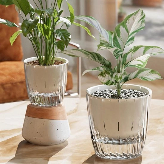 Vaso di Coltura Acquatica, Stazioni di Propagazione Autoirriganti, 11x11,5 cm, Vasca di Risorsa Idrica, Contenitore di Coltivo per Interno ed Esterno, Vasi di Coltura Acquatica Transparenti, Realizzati in Materiale PP e PET