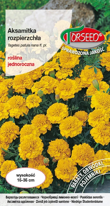 Tagetes che si allarga (basso) - Tagetes patula nana fl.pl. giallo 1 g