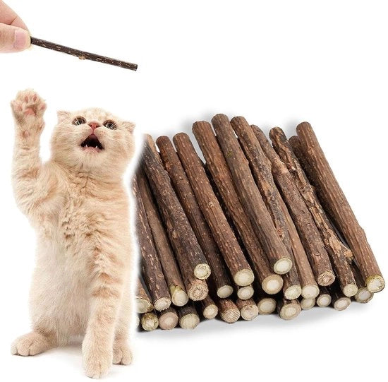 Sticks per il gatto 30 pezzi - Sticks per la cura naturale dei denti - Tandverzorging - Salute orale - Sticks di legno - Sticks rinfrescanti per l'aria