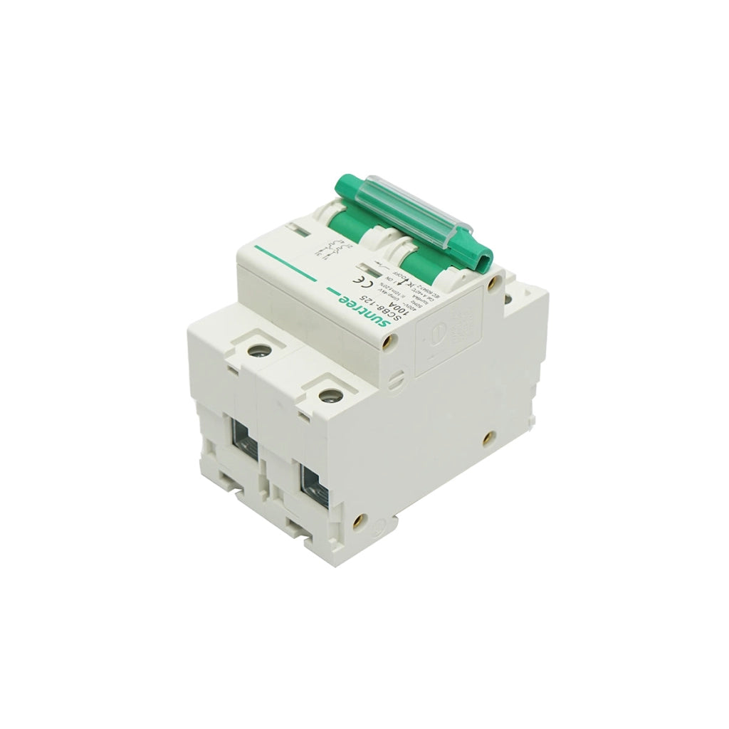 Interruttore automatico tipo 2P, 100A 400V, 4,5kA Suntree
