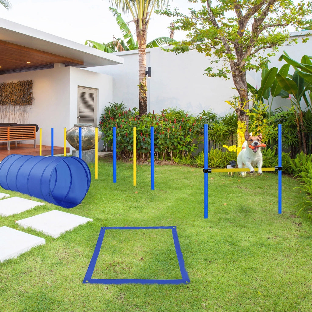 Set Agility per Cani ¨C zephmum ¨C Giallo e Blu
