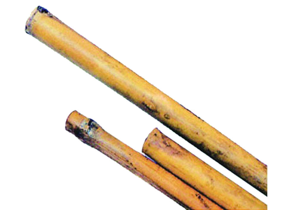 CANNA BAMBOO- - mm.24/26 h.210 - 50 pezzi T-REX