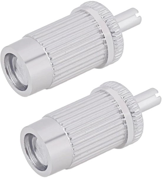 Set di 2 Viti di Montaggio per Chitarra M8