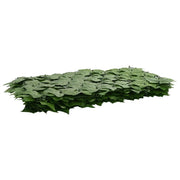 Paravento da Balcone | Schermo per balcone con foglie Verde 500 x 75 cm