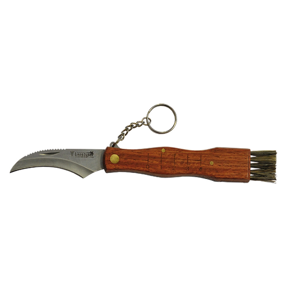COLTELLO COGLI FUNGHI mm 190  - DE LUCA