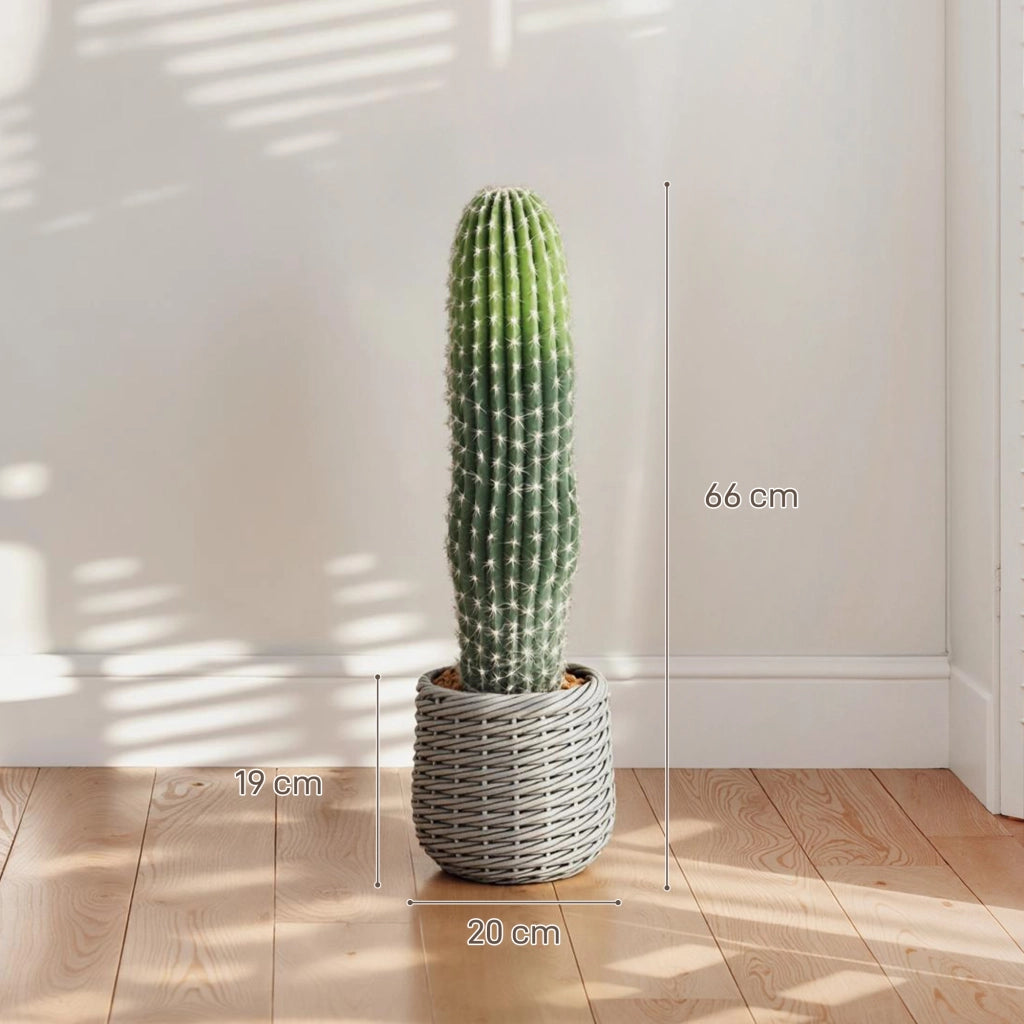 Pianta Artificiale Cactus ¨C Minimal ¨C Verde 66 cm
