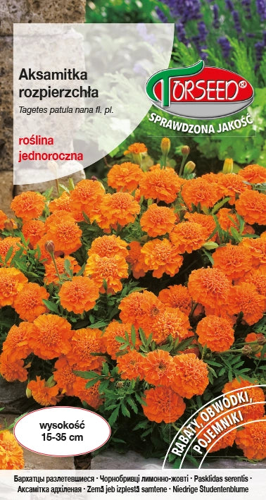 Tagetes che si allarga (basso) - Tagetes patula nana fl.pl. arancia 1g