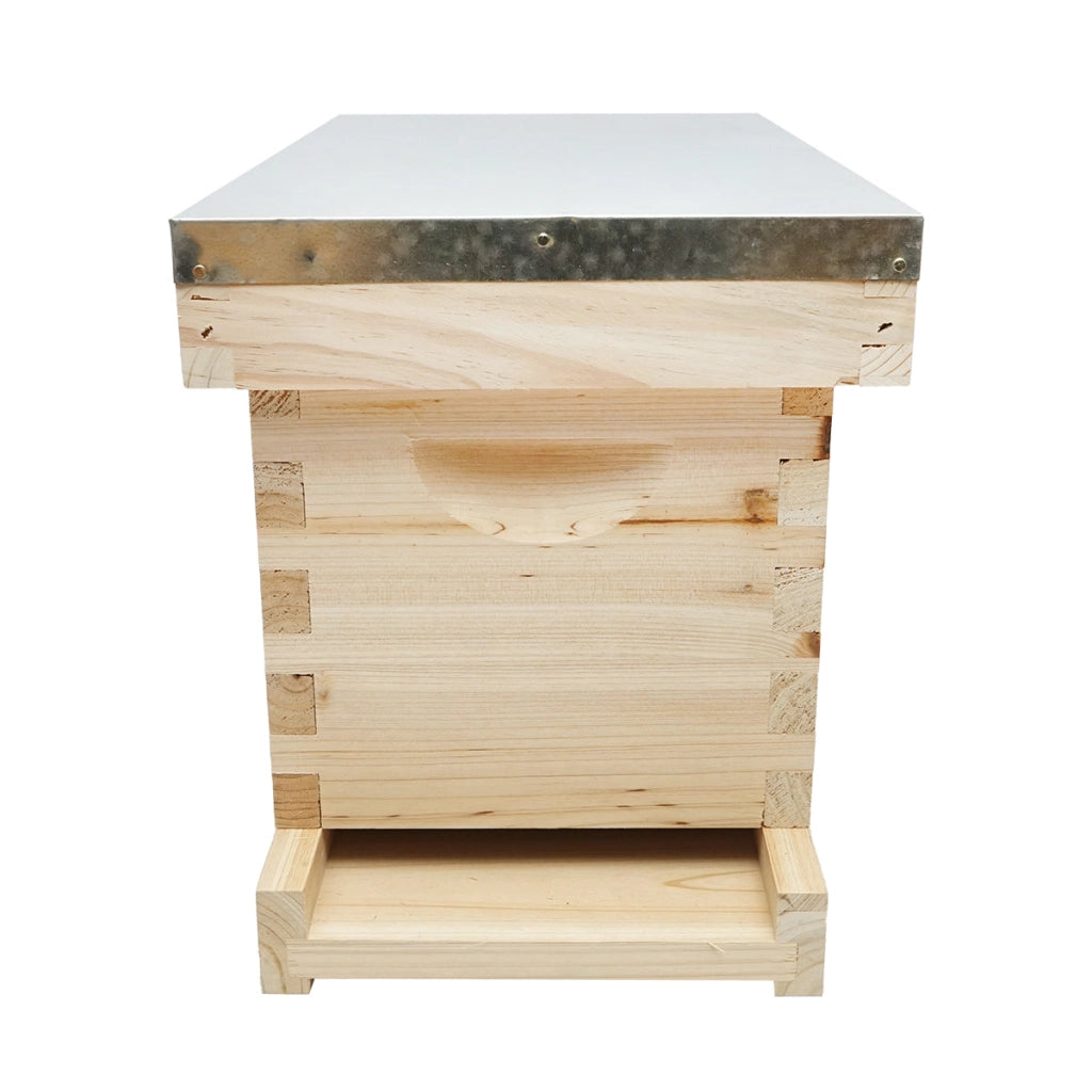 Arnia orizzontale in legno per api, , 5 telai, dimensioni 505x230x245 mm