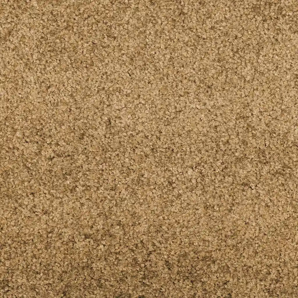 Zerbino | Tappetino Altro Crema e Nero 120 x 300 cm Poliammide e PVC