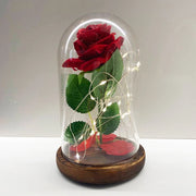 Trade Shop - Rosa Eterna Incantata La Bella E La Bestia In Cupola Con Base Legno E Luci A Led -