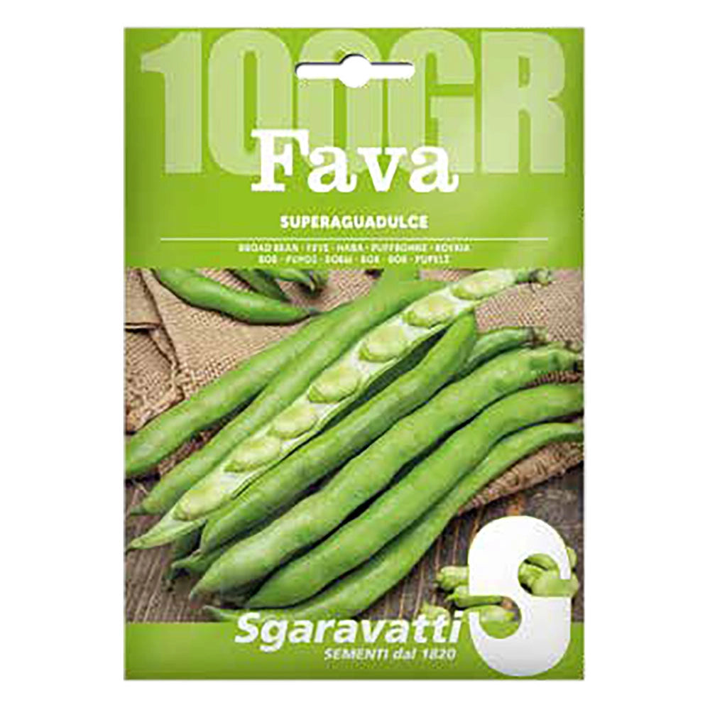SEMI PER FAVE fava superaguadulce - gr 100  - SGARAVATTI