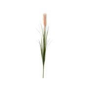 PAMPAS 120CM VERDE E ROSA