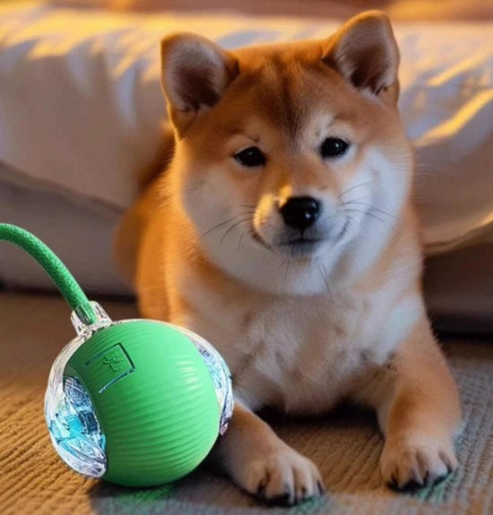 Giocattolo Automatico per Cani - Resistente ai Morsi & Illuminazione a LED - 3 Modalità di Gioco - Ricaricabile