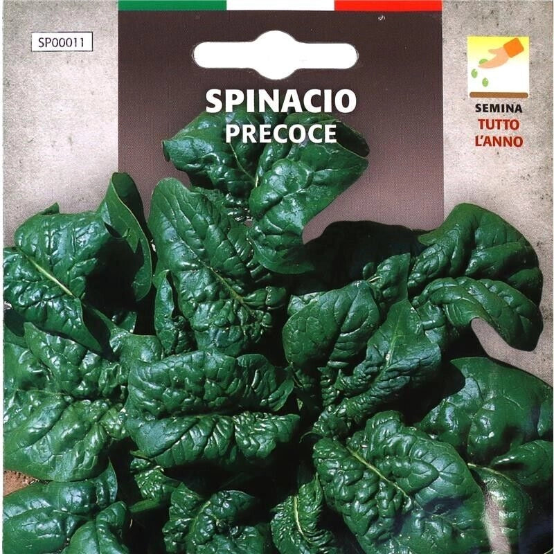 BUSTA SEMENTI SPINACIO PRECOCE