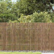 Recinzione da Giardino 500x80 cm Giunco 365757