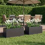 Vaso da giardino 2 pz Nero 100 x 40 x 40 cm 8005247