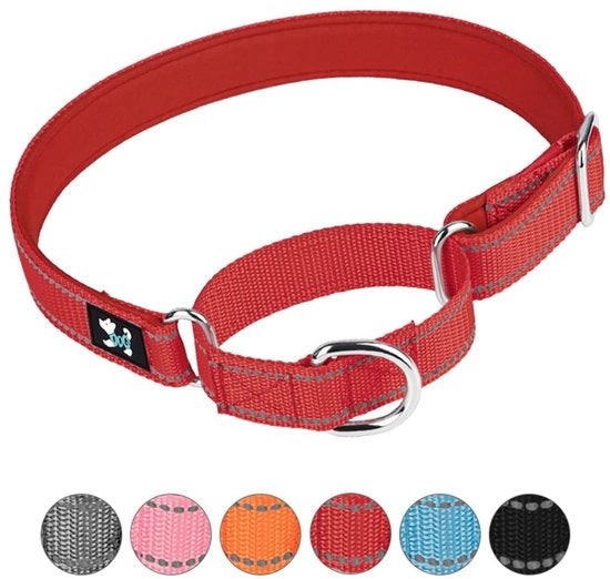 Cinturone per Cane Adattabile - Martingale/Cinturone - Neoprene Rivestito - Nylon Respirante - Dimensioni S/M/L - Addestramento alla Sicurezza