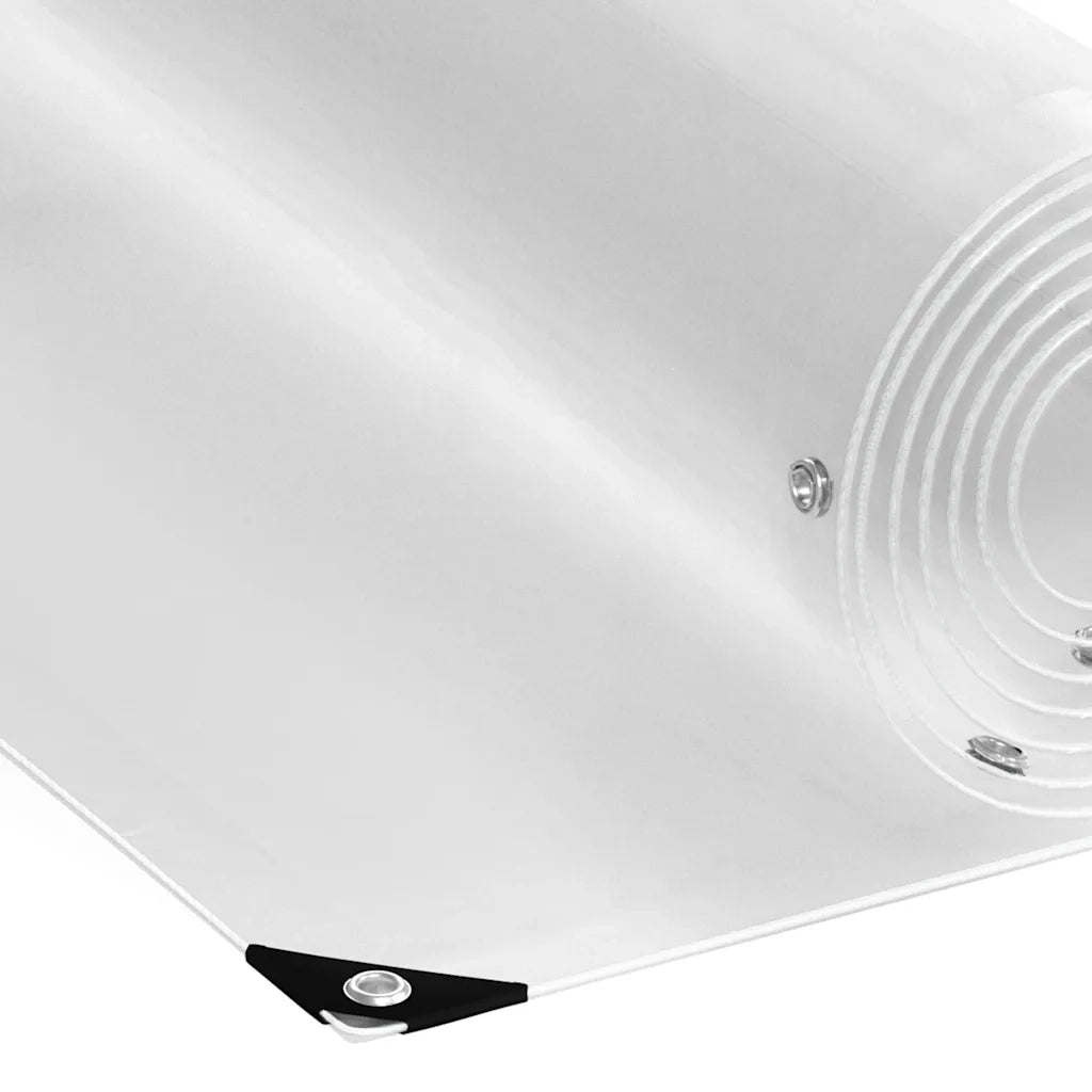 Telone Trasparente con Occhielli 1x2 m in PVC 4018583
