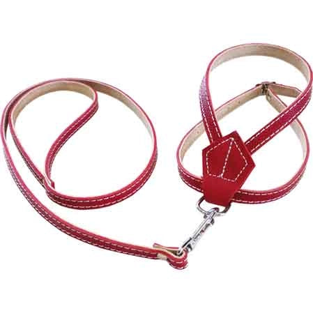 PARURE PER CANI 10x400 mm