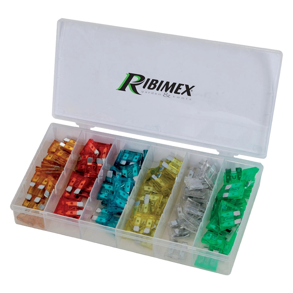 1cf assortimento fusibili 120 pezzi cod:ferx.6060690nlm