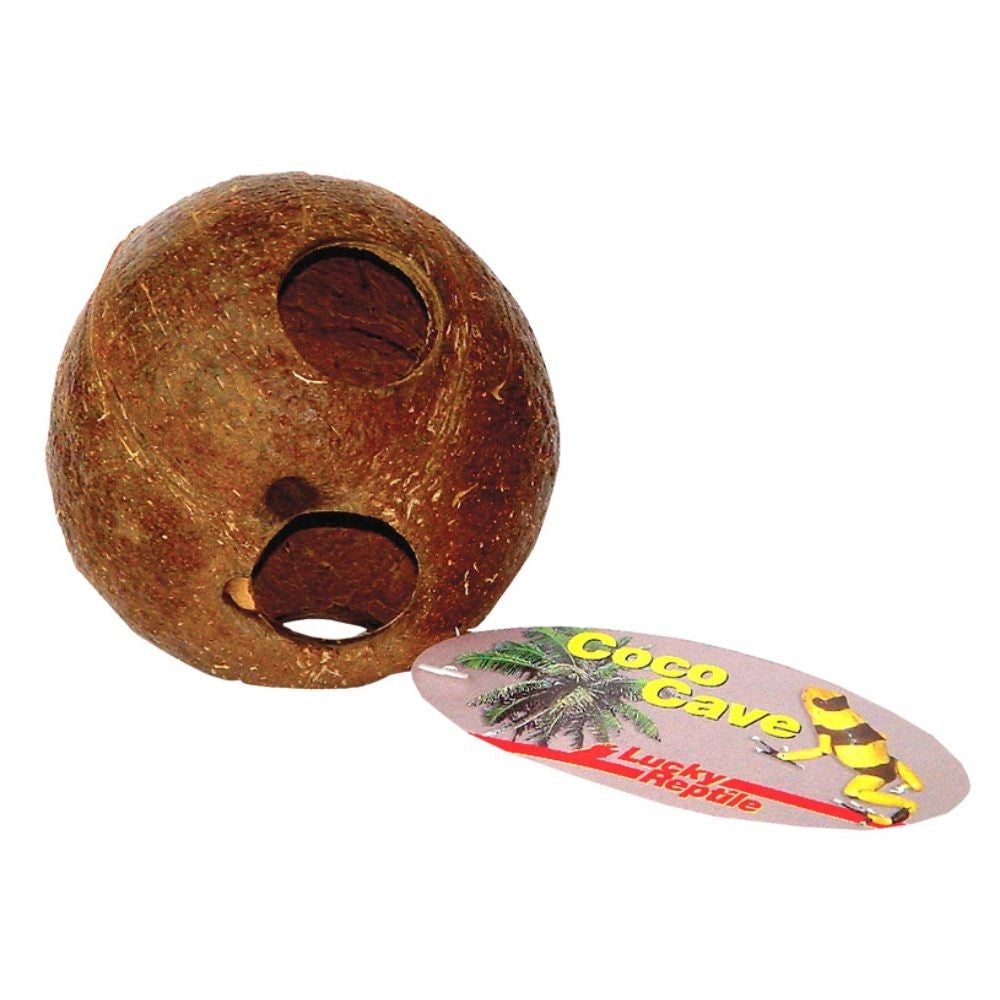 Lucky Reptile Coco Cave 10/15cm - noce di cocco forata per nascondigli