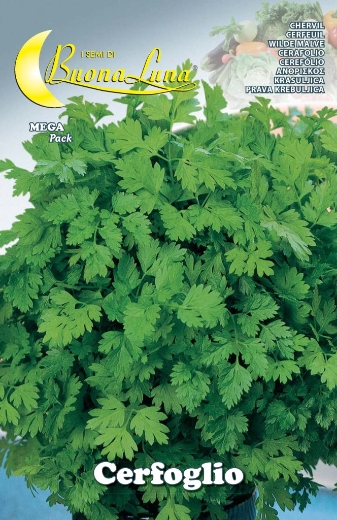 SEMI ORTO CERFOGLIO- HORTUS SEMENTI- 10,0 pz