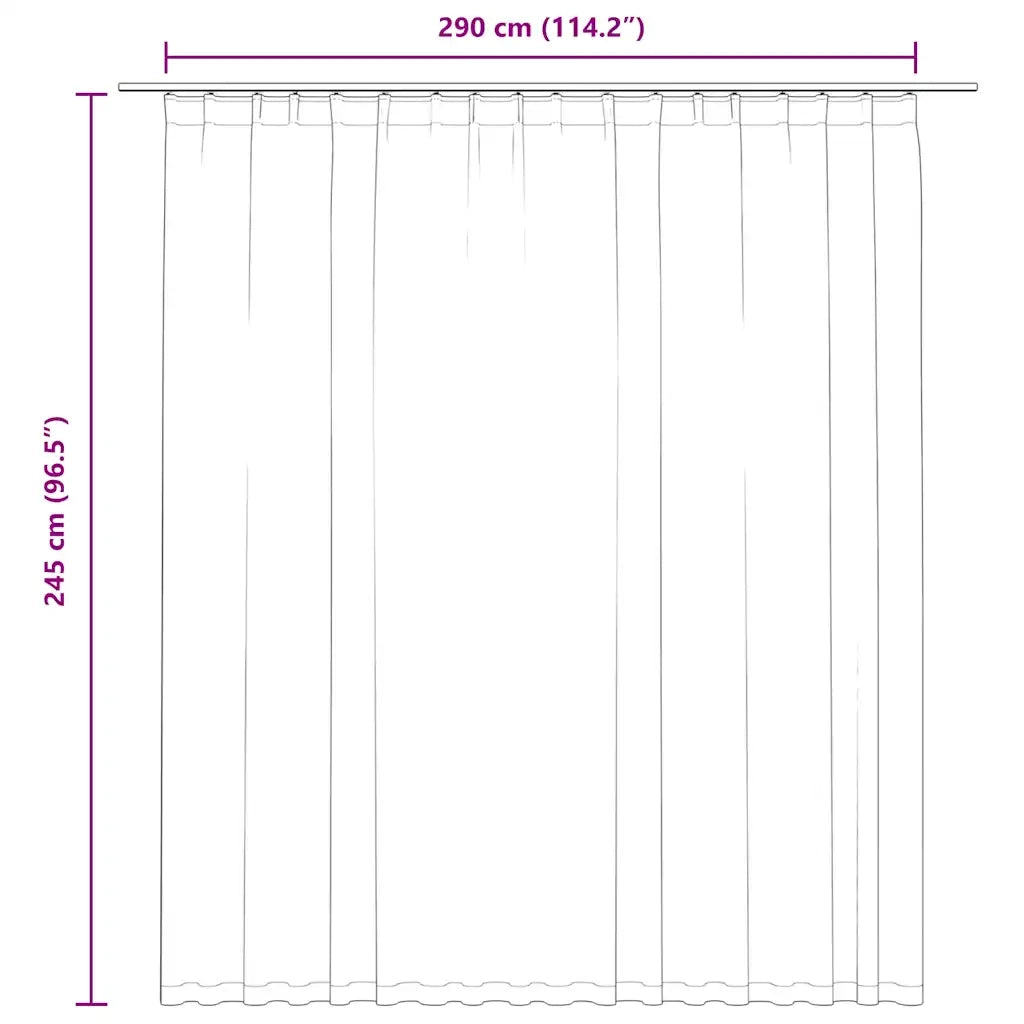 Tenda Oscurante con Ganci Beige 290x245 cm