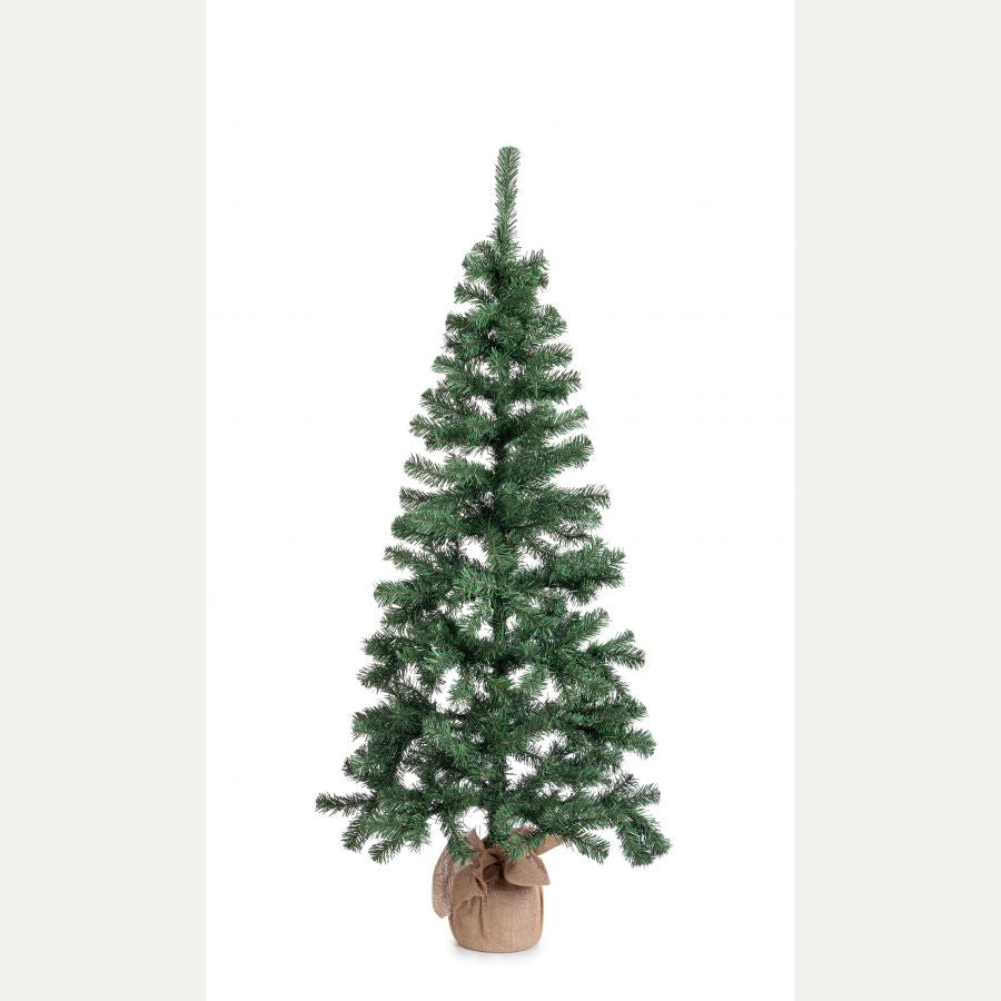 Albero cerano h165-287rami
