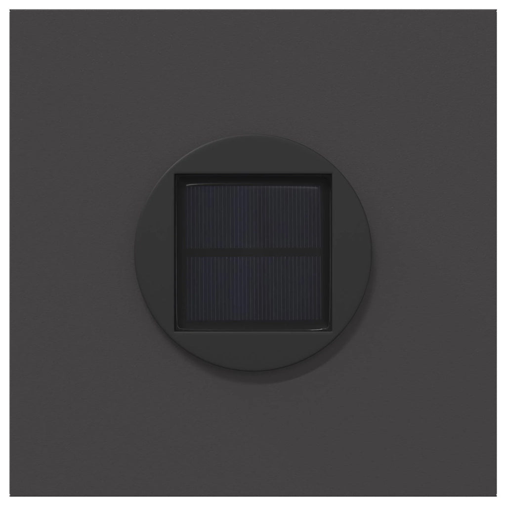 Faro LED solare per sentieri 2 pcs Nero 879751