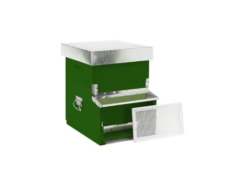 21B Arnia Dadant-Blatt 10 favi fondo fisso antivarroa nomadismo 25 kg - Verde