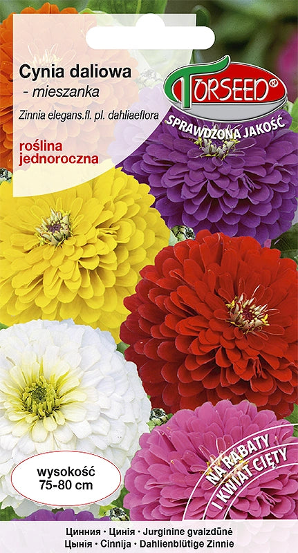 Dahlia zinnia - Zinnia elegans dahliaeflora mix 1g