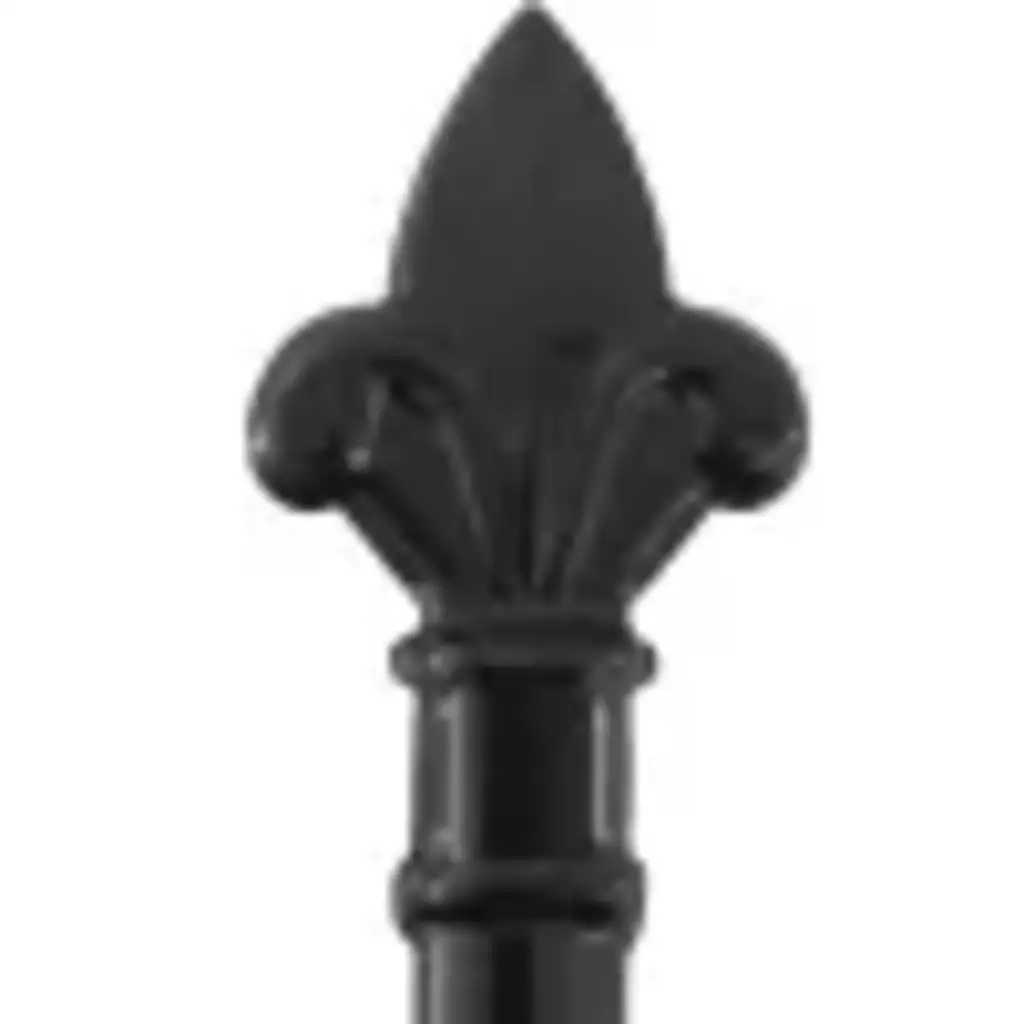Cancello per recinzione Woerden Doppia porta con punta superiore 299,5x174,5 cm 146027