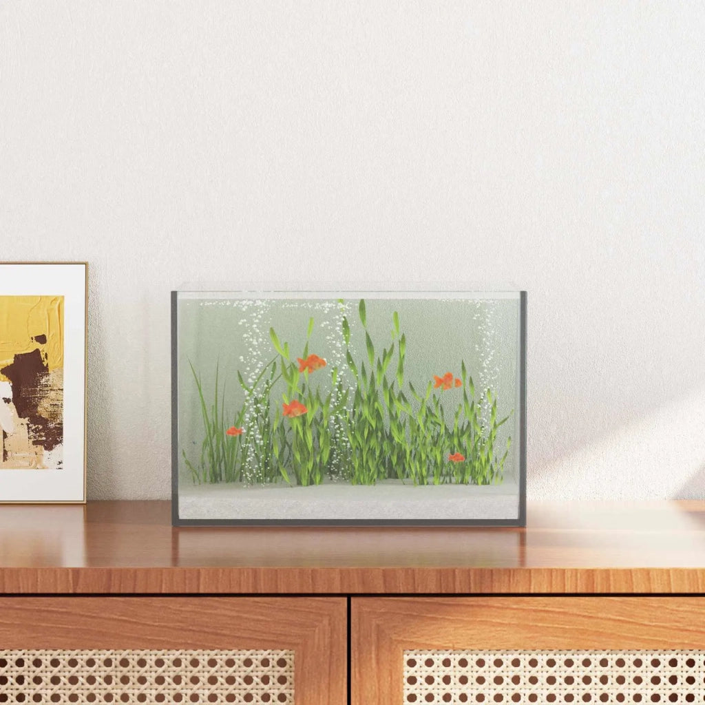 Acquario con archiviazione Trasparente 30 x 20 x 20 cm Vetro 42020379