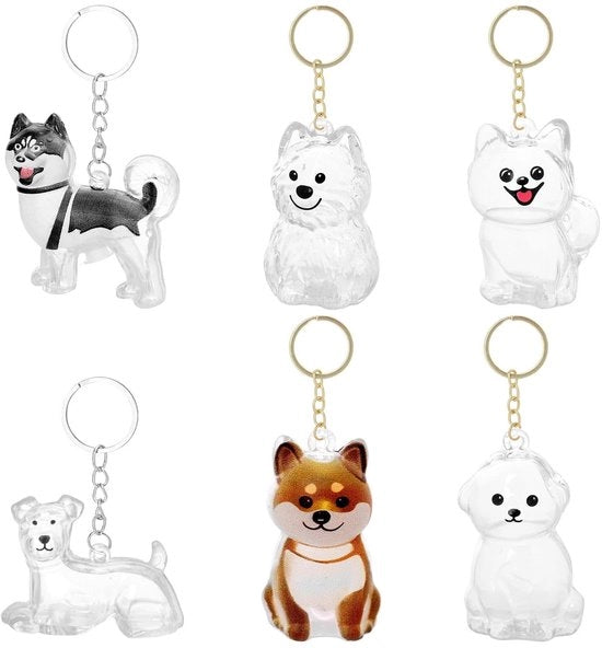 Sleutelhanger trasparente in acrilico con design allegro, set da 6 pezzi, ideale per ricordi e regali di compleanno, adatto per zaini e borse scolastiche