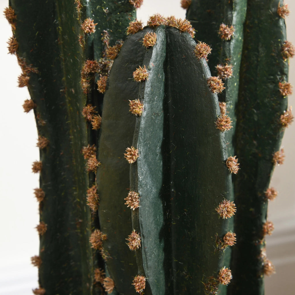 Pianta artificiale cactus ¨C Xylo ¨C verde ? 17 x 60H cm