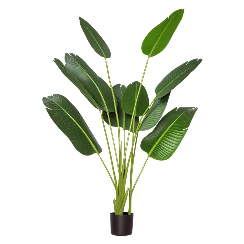 Planta Artificiale Banano ¨C zephmum ¨C Verde, 160 cm