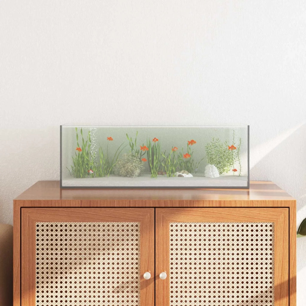 Acquario con archiviazione Trasparente 60 x 20 x 20 cm Vetro 42020383