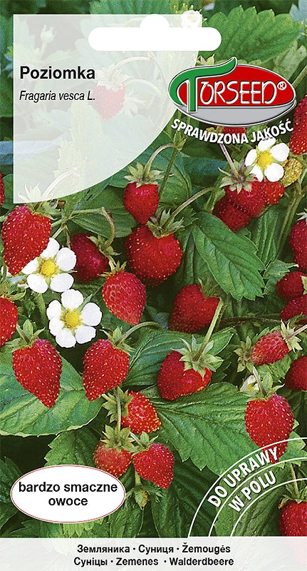 Fragole di bosco Rujana 0,2g