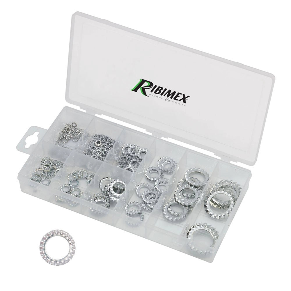 1cf assortimento rondelle dentellate 200 pezzi cod:ferx.3159238nlm