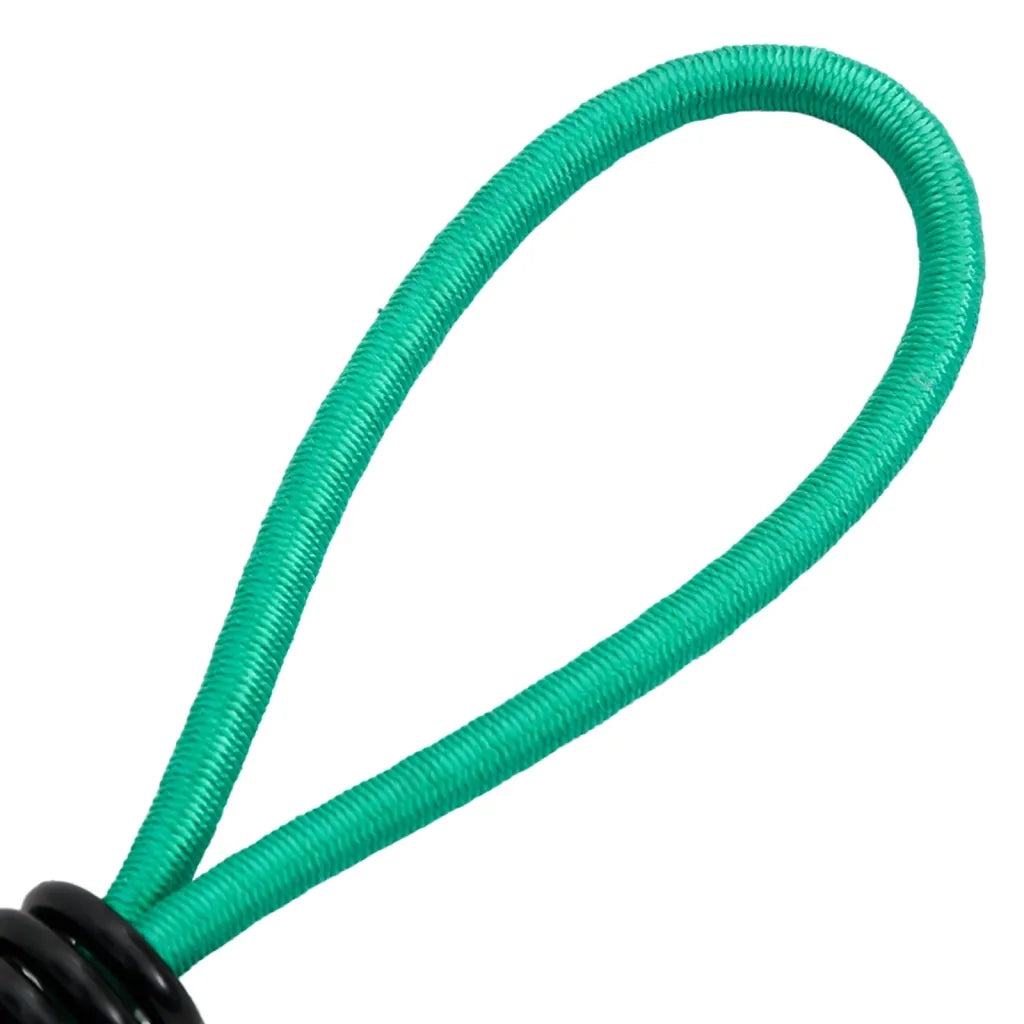 Corde Elastiche con Ganci 20 pz 15 cm CFW8966395