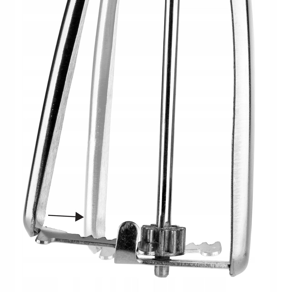 Coppette da dessert KADAX per gelato, 450 ml, 6 pezzi, in vetro + paletta.