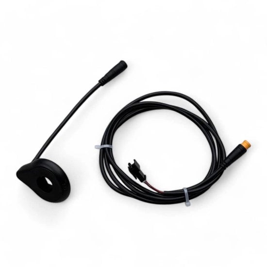 Trapsensor 3 pin con connessione – Trapondersteuning Plug and Play
