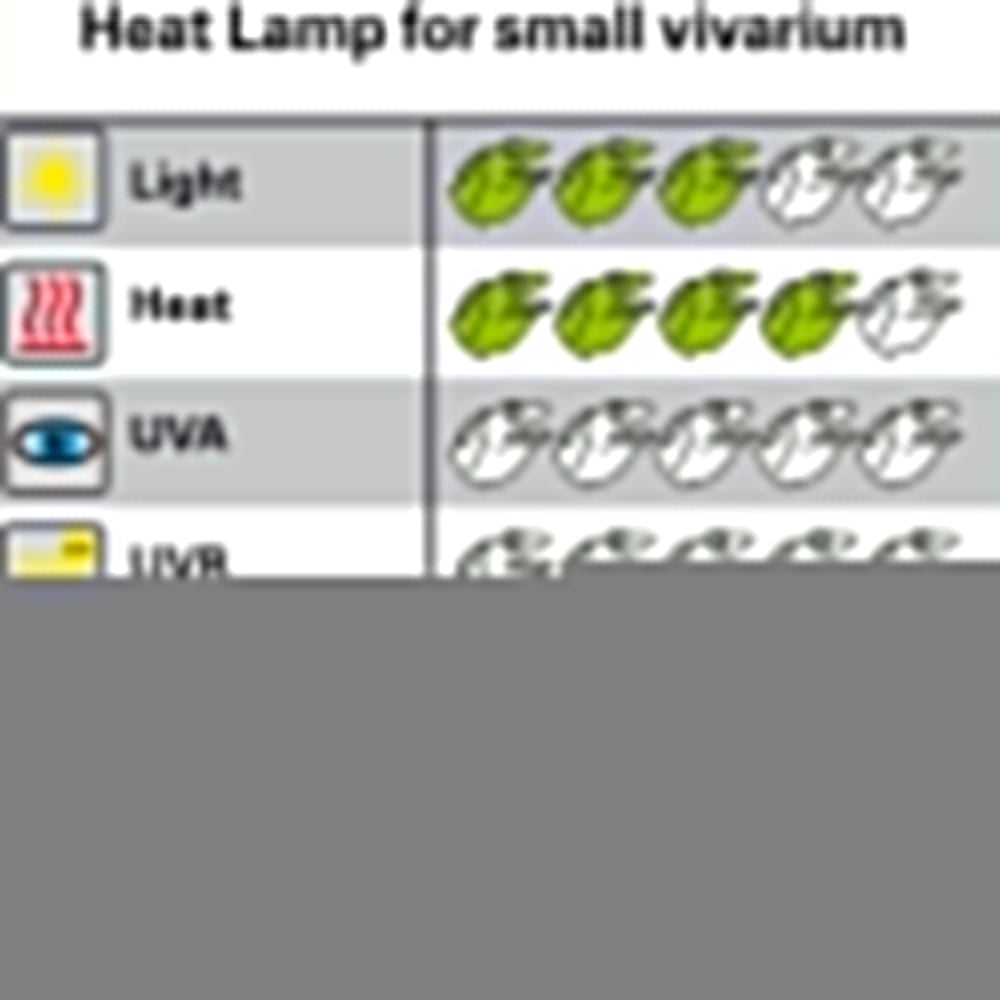 Lucky Reptile Halogen Sun Mini 2pz - lampada alogena attacco E27 per rettili Wattaggio Riscaldatori e lampade terrario: 20W