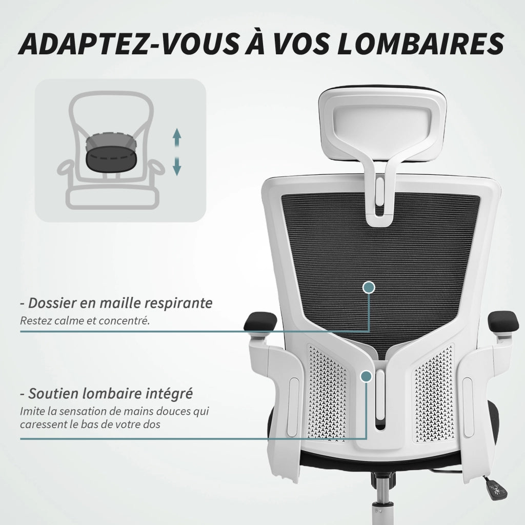 Sedia da ufficio ergonomica ¨C zephmum ¨C nero, 60x63x120cm