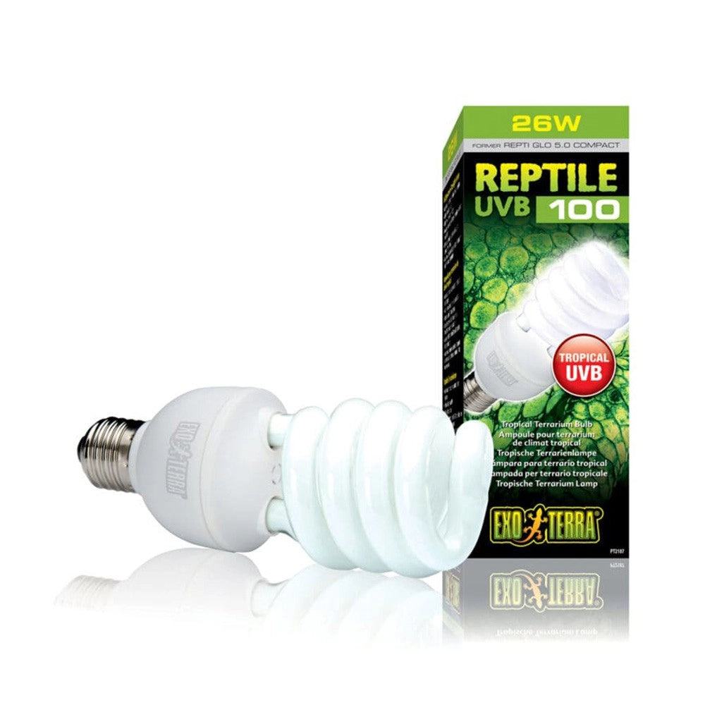 ExoTerra Repti Glo Compact 5.0 25 W UVB100 Attacco E27 - Lampada per terrari tropicali